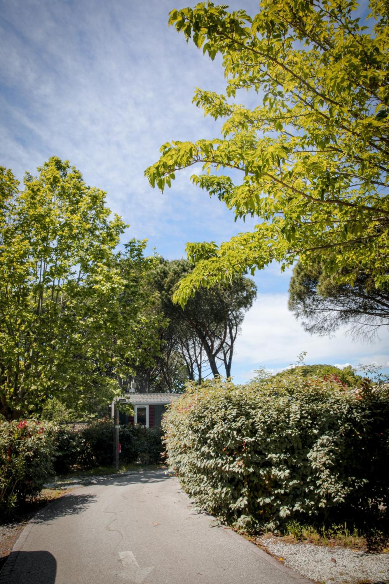 Domaine De Verdagne 盖辛 外观 照片